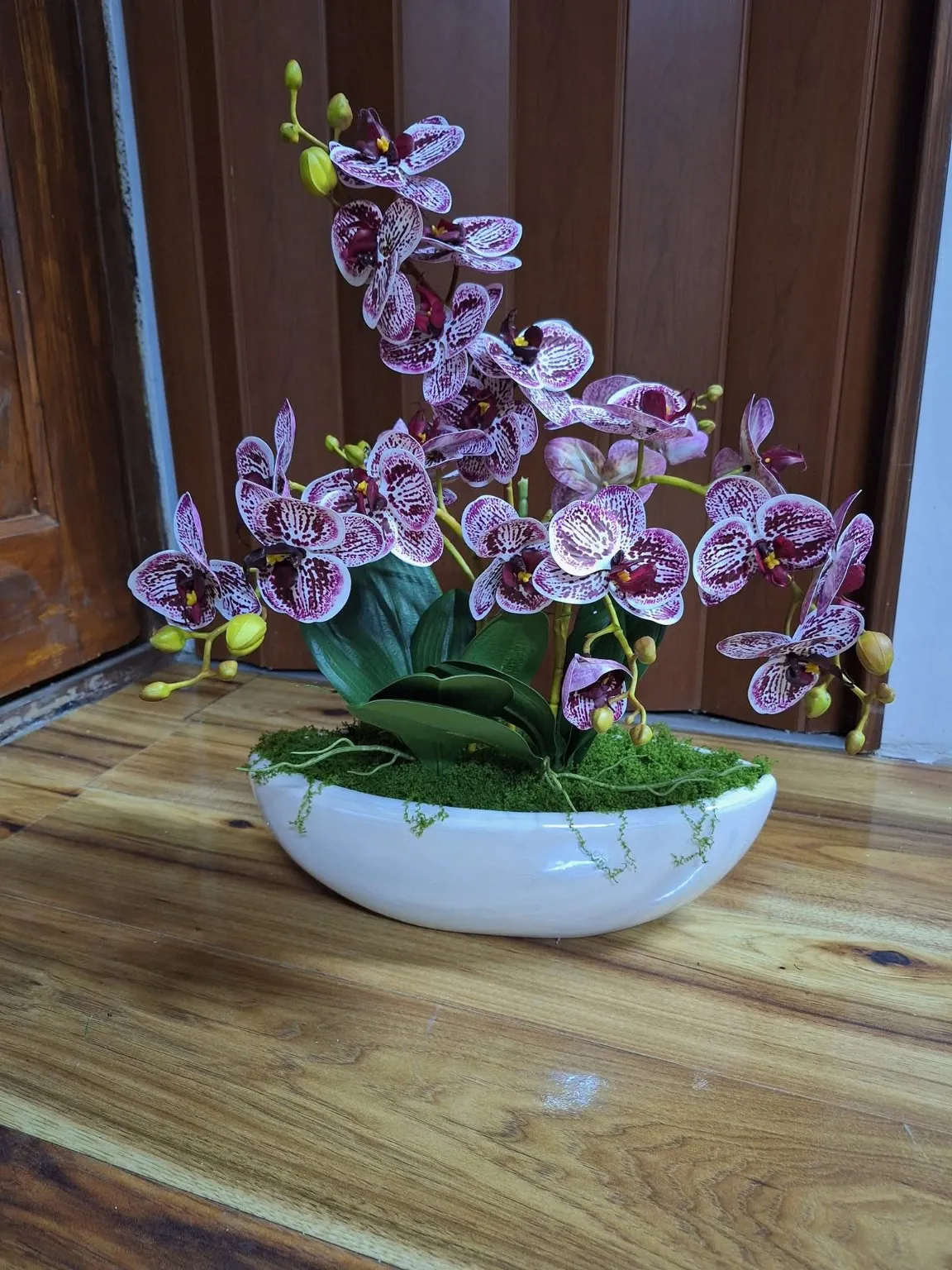 Orchidea szobanövény dekoráció